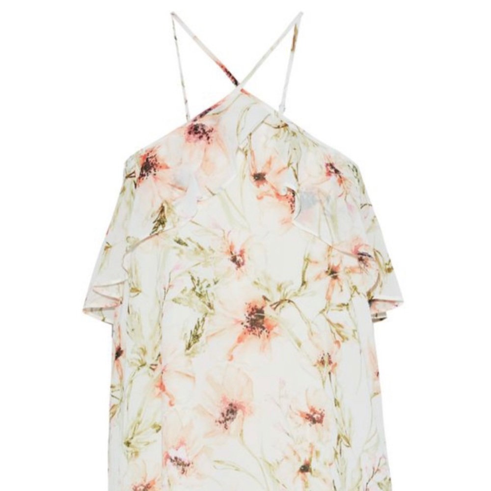 Haute Hippie Ruffle Floral Print Mini Dress - Picture 3 of 4